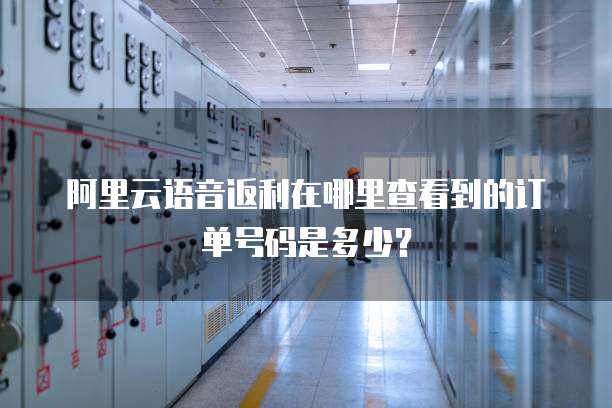 阿里云语音返利在哪里查看到的订单号码是多少？