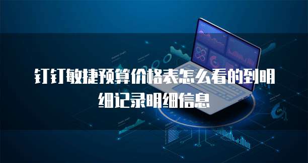钉钉敏捷预算价格表怎么看的到明细记录明细信息