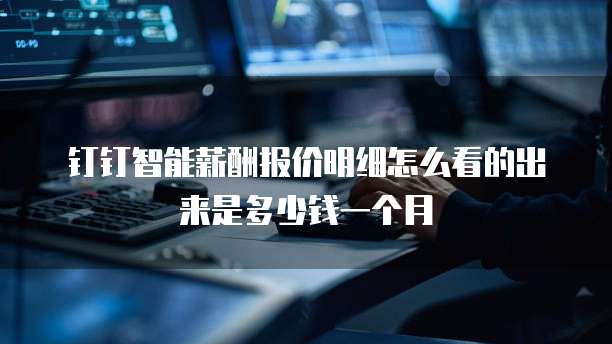 钉钉智能薪酬报价明细怎么看的出来是多少钱一个月