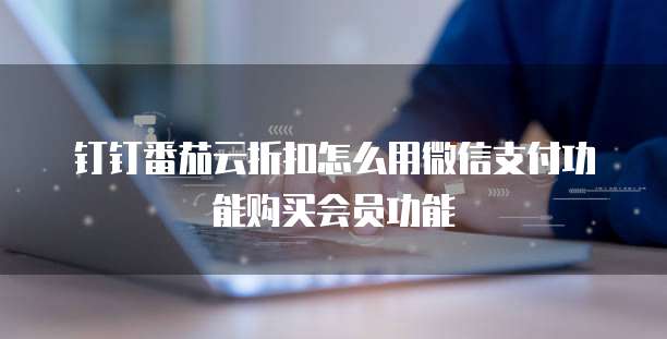 钉钉番茄云折扣怎么用微信支付功能购买会员功能