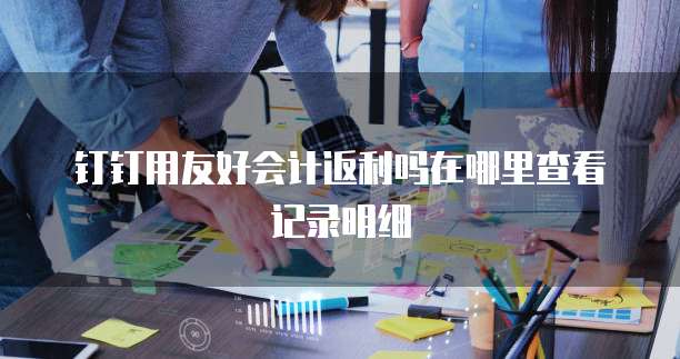 钉钉用友好会计返利吗在哪里查看记录明细