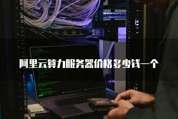 阿里云算力服务器价格多少钱一个