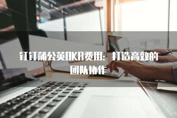 钉钉蒲公英OKR费用：打造高效的团队协作