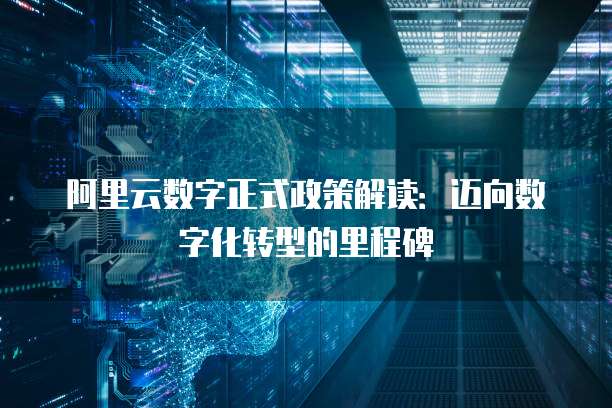 阿里云数字正式政策解读:迈向数字化转型的里程碑