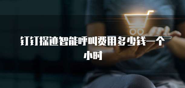 钉钉探迹智能呼叫费用多少钱一个小时