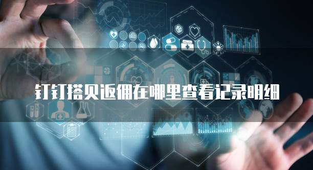 钉钉搭贝返佣在哪里查看记录明细