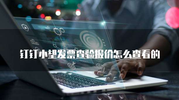 钉钉小望发票查验报价怎么查看的