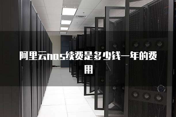 阿里云nas续费是多少钱一年的费用