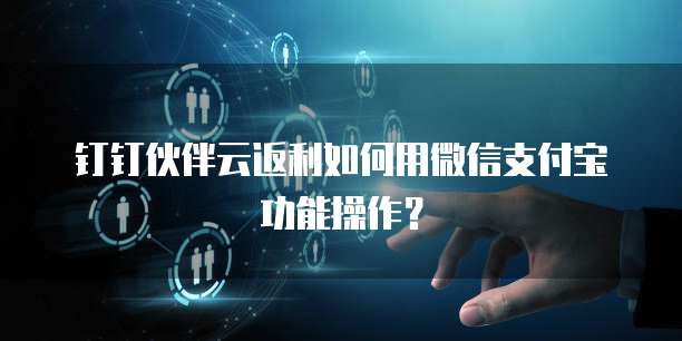 钉钉伙伴云返利如何用微信支付宝功能操作?