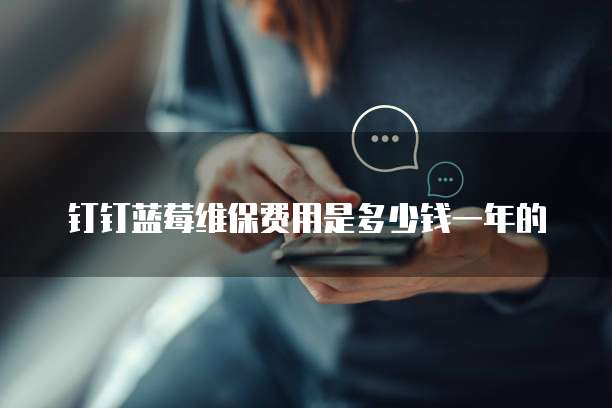 钉钉蓝莓维保费用是多少钱一年的