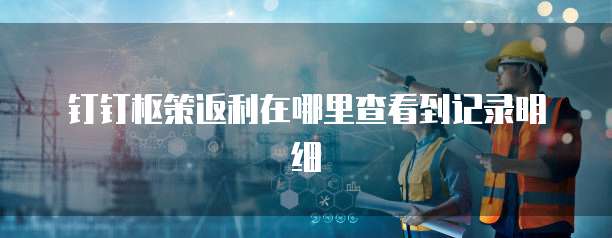 钉钉枢策返利在哪里查看到记录明细