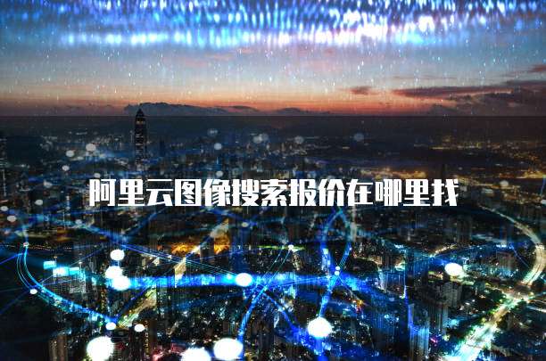 阿里云图像搜索报价在哪里找