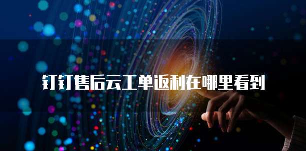 钉钉售后云工单返利在哪里看到