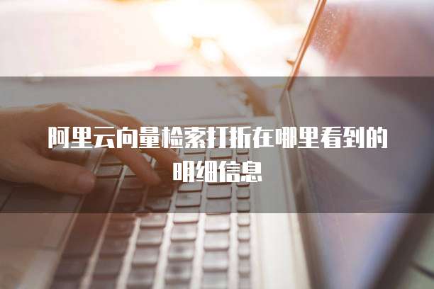 阿里云向量检索打折在哪里看到的明细信息