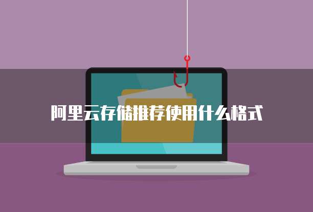 阿里云存储推荐使用什么格式