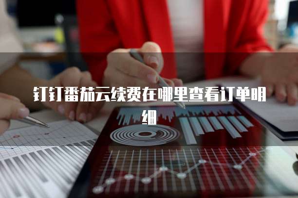 钉钉番茄云续费在哪里查看订单明细
