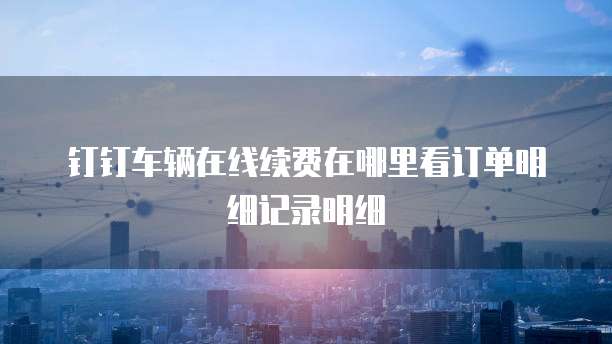 钉钉车辆在线续费在哪里看订单明细记录明细