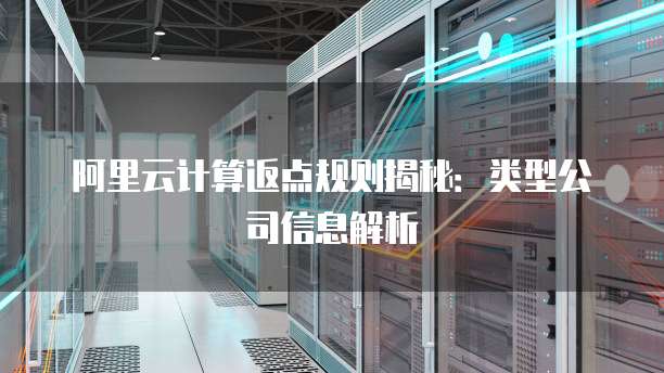 阿里云计算返点规则揭秘:类型公司信息解析