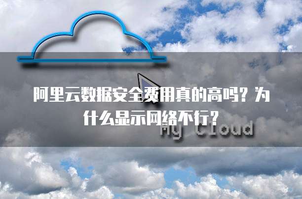 阿里云数据安全费用真的高吗？为什么显示网络不行？