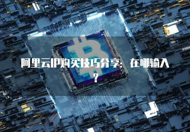 阿里云IP购买技巧分享:在哪输入?