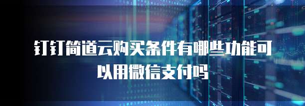 钉钉简道云购买条件有哪些功能可以用微信支付吗