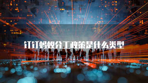钉钉蚂蚁分工政策是什么类型