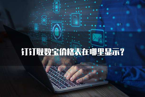 钉钉取数宝价格表在哪里显示？