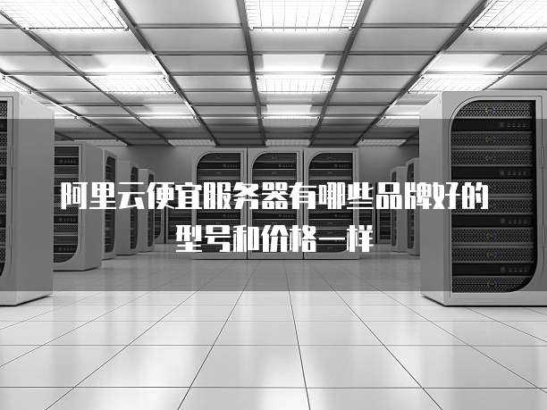 阿里云便宜服务器有哪些品牌好的型号和价格一样