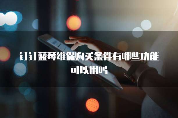钉钉蓝莓维保购买条件有哪些功能可以用吗