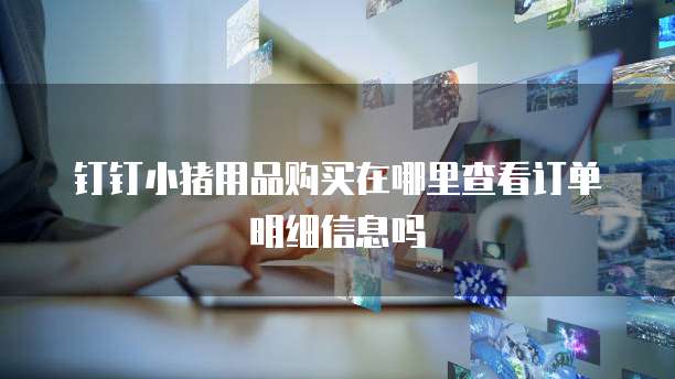 钉钉小猪用品购买在哪里查看订单明细信息吗