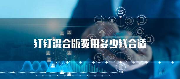 钉钉混合版费用多少钱合适