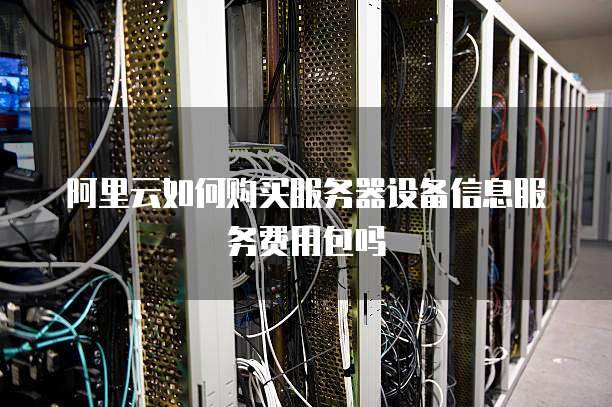 阿里云如何购买服务器设备信息服务费用包吗