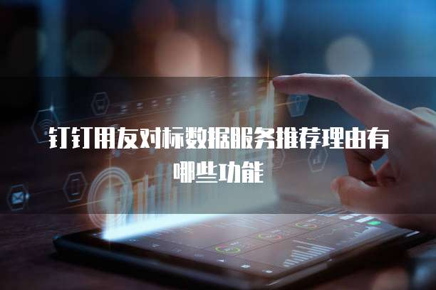 钉钉用友对标数据服务推荐理由有哪些功能