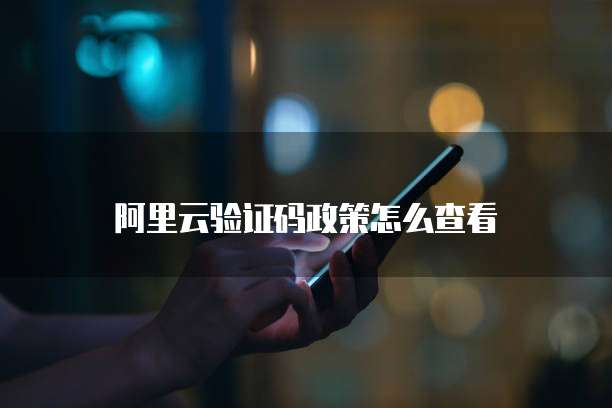 阿里云验证码政策怎么查看