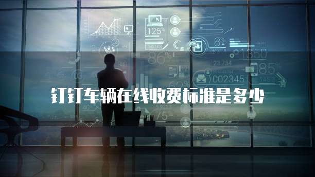 钉钉车辆在线收费标准是多少