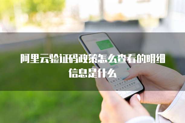 阿里云验证码政策怎么查看的明细信息是什么