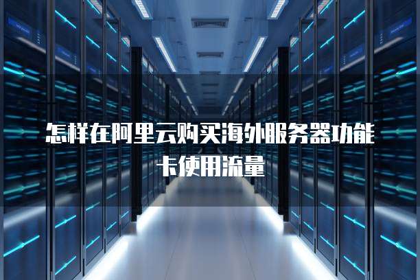 怎样在阿里云购买海外服务器功能卡使用流量