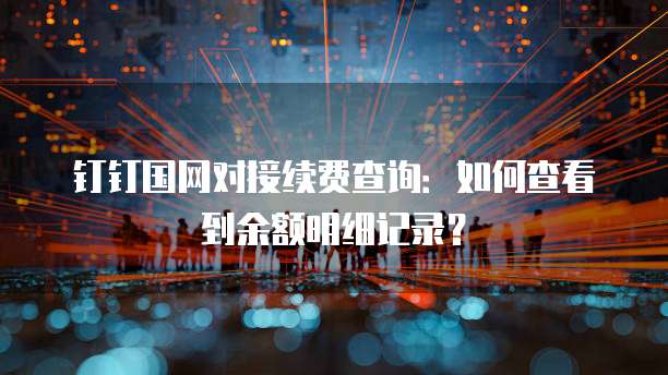 钉钉国网对接续费查询：如何查看到余额明细记录？