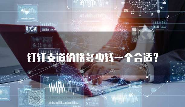 钉钉支道价格多少钱一个合适?