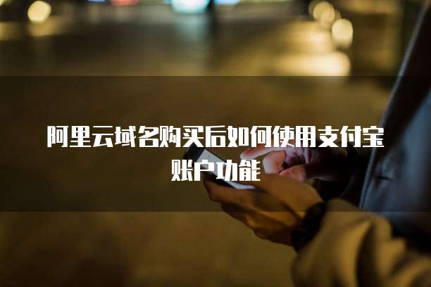 阿里云域名购买后如何使用支付宝账户功能