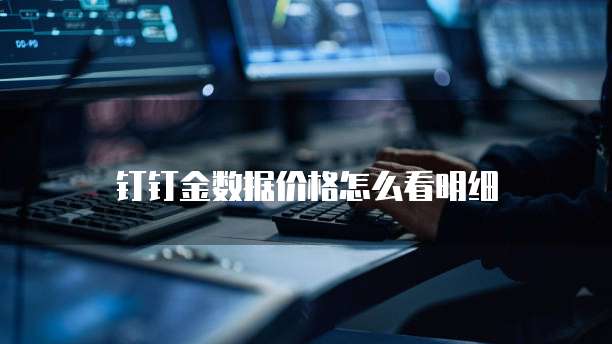 钉钉金数据价格怎么看明细
