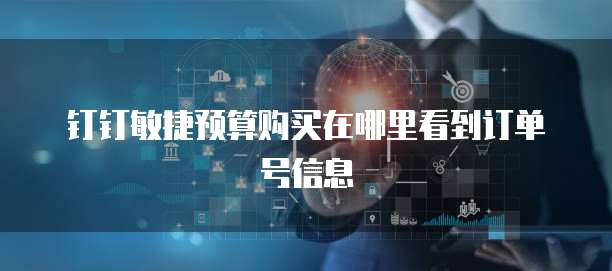 钉钉敏捷预算购买在哪里看到订单号信息
