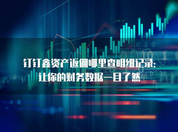 钉钉鑫资产返佣哪里查明细记录:让你的财务数据一目了然