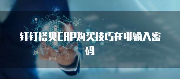 钉钉搭贝ERP购买技巧在哪输入密码