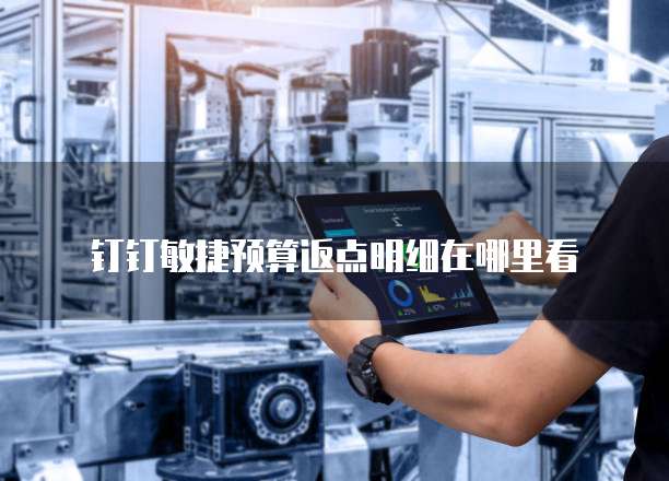 钉钉敏捷预算返点明细在哪里看