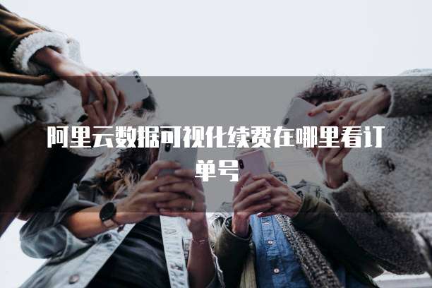阿里云数据可视化续费在哪里看订单号