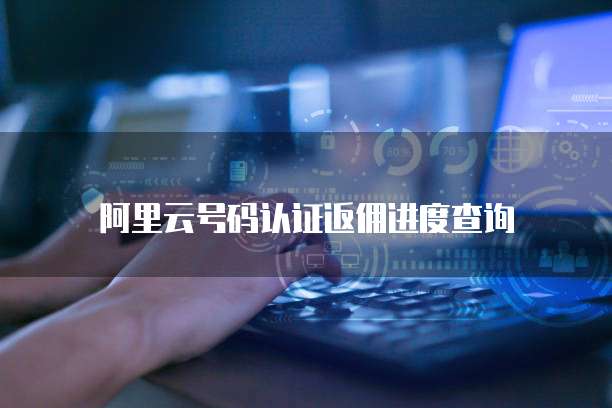 阿里云号码认证返佣进度查询