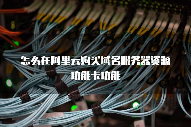 怎么在阿里云购买域名服务器资源功能卡功能