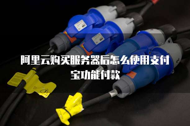 阿里云购买服务器后怎么使用支付宝功能付款