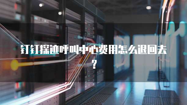 钉钉探迹呼叫中心费用怎么退回去？